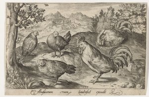 Drie kippen en twee hanen Vogels en insecten (serietitel)