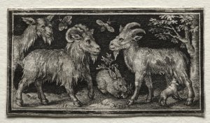 Geiten en Haas, 1594