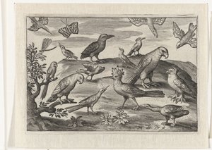 Hop en andere vogels Vogels en insecten (serie titel)