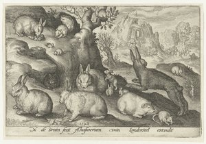 Konijnen, eekhoorn, cavia en muis door Nicolaes de Bruyn