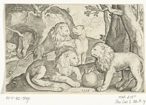 Leeuwen (serie titel) door Nicolaes de Bruyn