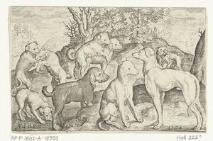 Negen honden Animalivm qvadrvpedvm Dieren in landschappen (serie) door Nicolaes de Bruyn