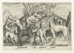 Negen honden door Nicolaes de Bruyn