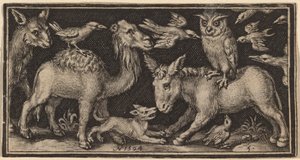 Uil op de rug van een ezel, vogel op de rug van een kameel met andere dieren
