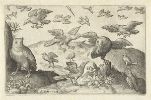 Uil met prooi belaagd door andere vogels