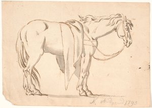 Een paard met deken op