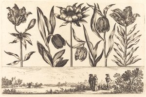 Bloemenprint nr. 11 door Nicolas Cochin after Balthasar Moncornet
