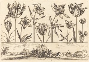 Bloemenprint nr. 2 door Nicolas Cochin after Balthasar Moncornet