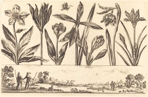 Bloemenprint nr. 4 door Nicolas Cochin after Balthasar Moncornet
