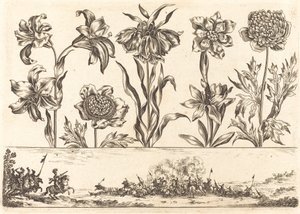 Bloemenafdruk nr. 8 door Nicolas Cochin after Balthasar Moncornet