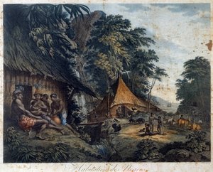 Huis van de zwarte