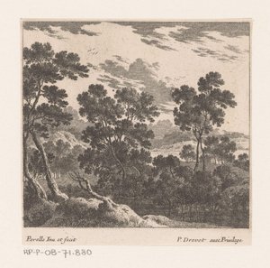 Landschap met bomen door Nicolas Perelle