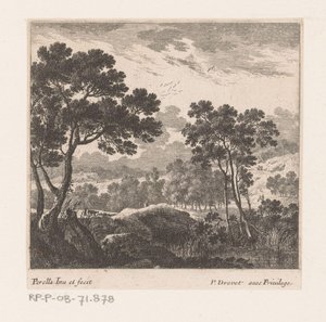 Landschap met bomen en meer door Nicolas Perelle