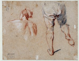 Studie van anatomie