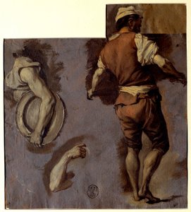 Studie van anatomie, armbewegingen en rug van een man