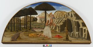 Sint Hiëronymus in de woestijn, 1450-80 door Nicolo di Maestro Antonio dAncona