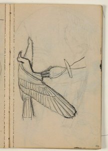 Studies van vogels, waarschijnlijk naar voorbeeld door Niels Larsen Stevns