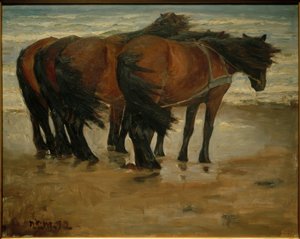 Vier paarden. Kandestederne