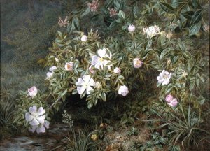 Een studie van Hondsrozen, ca. 1900 door Niels Pieter Rasmussen