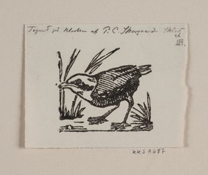 Een vogeljong door Niels Skovgaard