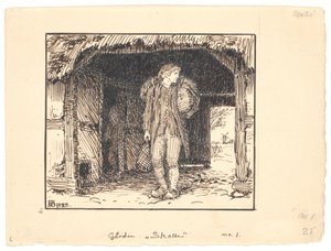 Schedel