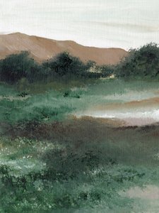 Landschap in de mistige bergen