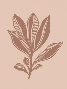 Natuurlijke botanische tekening door Nikita Jariwala