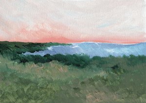 Roze lucht met uitzicht op de kust