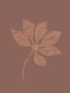 Blad met textuur door Nikita Jariwala