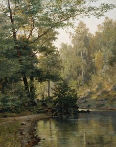 Bosmeer (olieverfschilderij) door Nils Hansteen