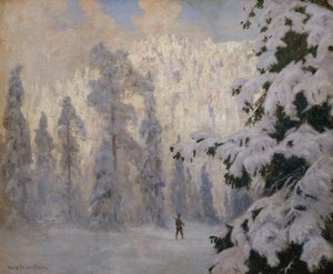Jager skiën in winterlandschap