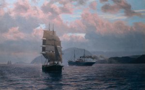 Bijeenkomst in de Drøbak inham