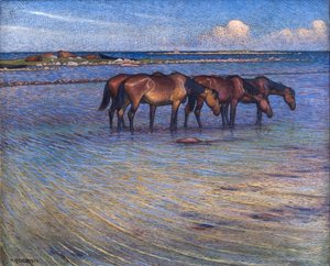 Paarden die zichzelf afkoelen in water