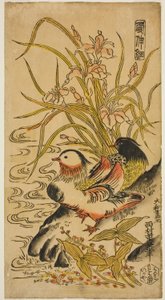 Mandarijneenden, uit de serie "Kashinsai"