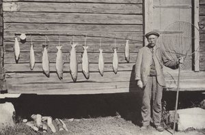 Vissen op forel door Norwegian Photographer