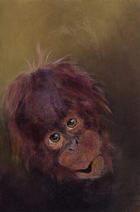 Baby orang-oetan 2, 2010 (acryl op hout) door Odile Kidd