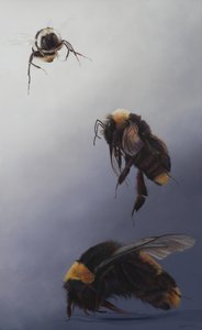 Bombus vlucht 2, 2011 (acryl op hout) door Odile Kidd