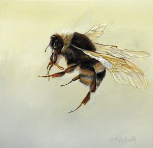 Bombus terrestris 4, 2011 (acryl op hout) door Odile Kidd