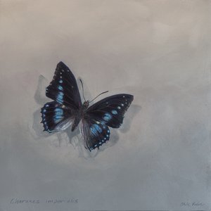 Charaxes imperialis 1 (a), 2014 (acryl op hout) door Odile Kidd