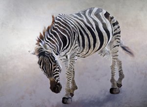 Equus burchelli 2, 2010 (acryl op doek) door Odile Kidd