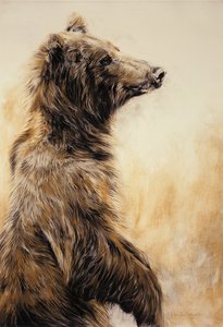 Grizzly Bear 2, 2002 (carbonpotlood, houtskool  krijt) door Odile Kidd