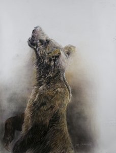 Grizzlybeer 3, 2009 (houtskool, conte  krijtpastel op Fabriano papier) door Odile Kidd