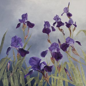 Iris hybrida, 2015 (acryl op gegessuurd hout) door Odile Kidd