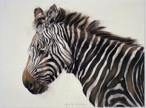Zebra, 2002 (houtskool  krijt) door Odile Kidd