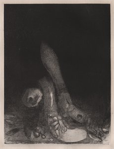 Bloemen Vallen en het Hoofd van een Python Verschijnt door Odilon Redon