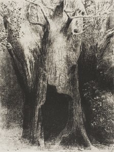 Ik Dook in de Eenzaamheid. Ik Woonde in de Boom achter Mij, plaat 9 van 24 door Odilon Redon