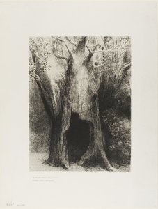 Ik Dook in de Eenzaamheid. Ik Woonde in de Boom achter Mij, plaat 9 van 24 door Odilon Redon