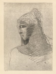 Ik aanbid je zoals ik de gewelven van de nacht aanbid, O vat van verdriet, O grote zwijgzame vrouw door Odilon Redon