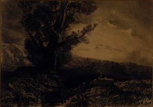 Landschap
