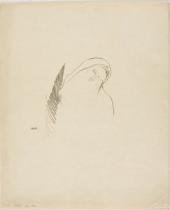 Slaap door Odilon Redon